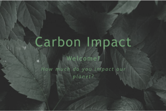Carbon Impact