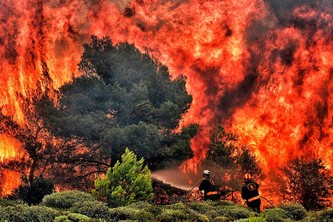 Wildfire Classification