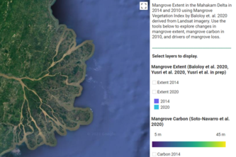 Mangrove: Mangrove carbon monitoring over time