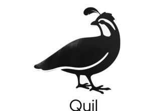 Quil