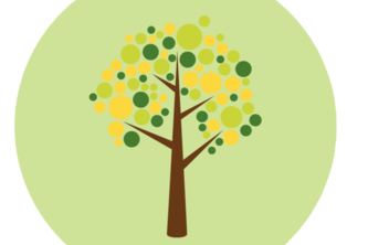Seedling