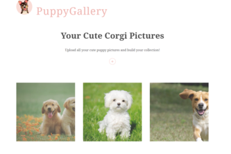 Puppy Gallery