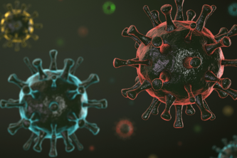 A Model Predicting COVID-19 Variant Susceptibility