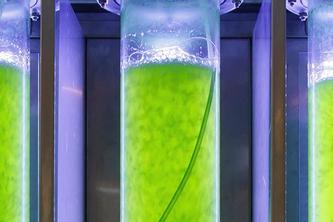 CO2-Sequestrierung mit Mikroorganismen und CCS mit HTC