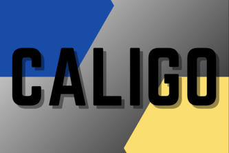 Caligo