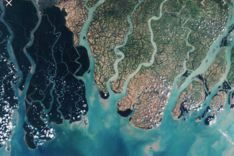 Ocean Pollution Detector