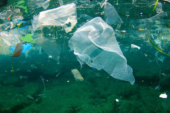 Build Something to Reduce Single-Use Plastic