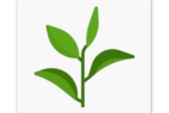 Plant Manager