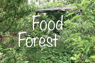 F2DB-Food Forest Database