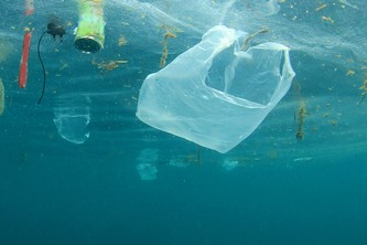 Plastic Pollution Website