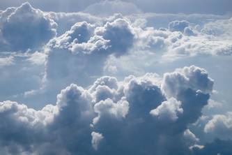 Find a Quarantine Friend!