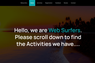 Websurfers