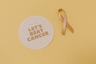 Who says Girls can't Fight