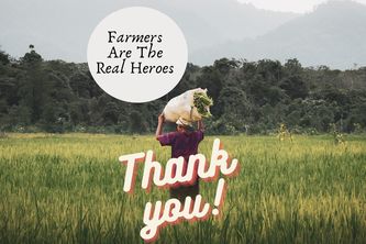 Help Farmers Save Agriculture