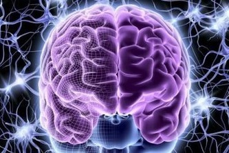 Neuratech.sdk