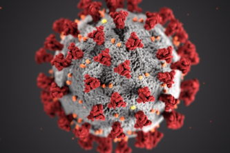 Covid Risk by Demographics