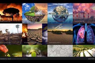 Environmental Issues