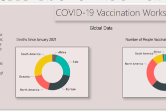 COVID-19 Vaccination Effectiveness Visualization