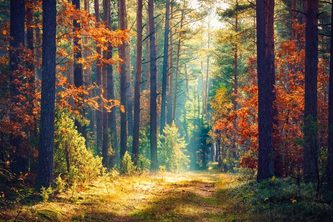 Climate Change: The Global Crisis