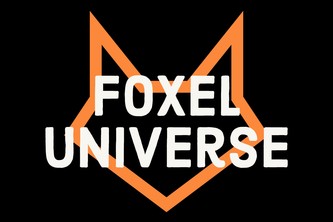 Foxel Universe