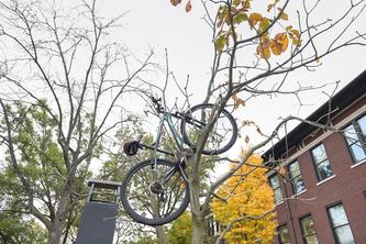 Purdue Bikes In Trees (PBIT)