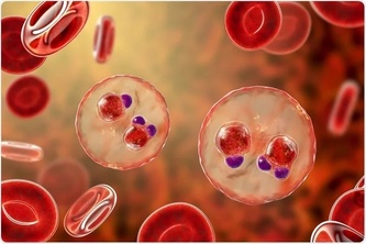 Detecting Malaria-Infected Blood Cells with Machine Learning
