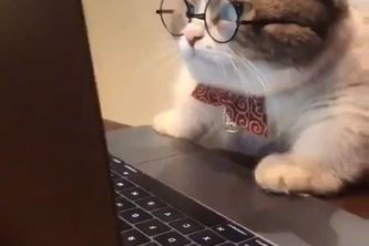 นุ้บนิ้บ