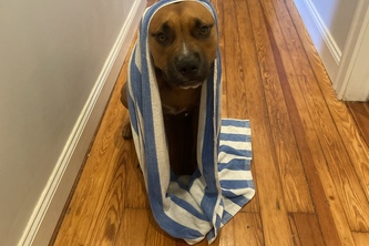 Machine Composed Music using Deep Neural Networks