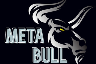 MetaBulls