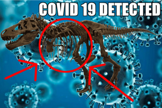 COVID 19 X-Ray Detector