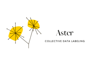 Aster