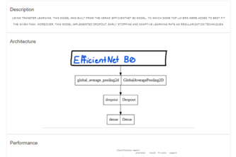 Brain tumor Classification task