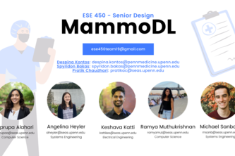 Team 19: MammoDL