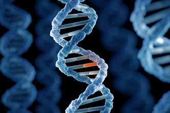 CRISPR Automated Reasoning