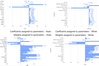 Interest Rate Prediction Model with An Emphasis on Race
