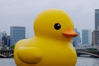 DUCK