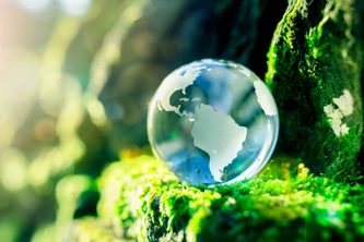 Environmental Educator