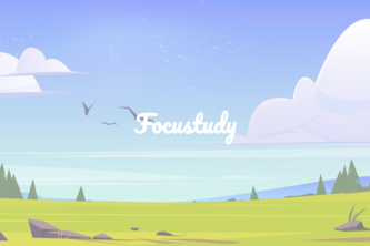 Focustudy