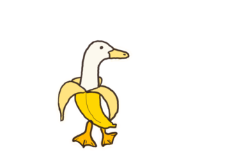 Duck Roundup