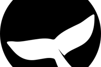 SW - A09