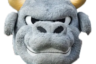 Snapchat AR GO BULLS