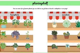 [O] plantsyshelf