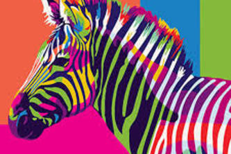 Color Blind Zebra 