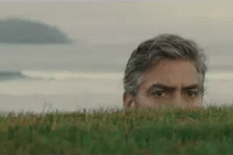 O Pitch, Where Art Thou?