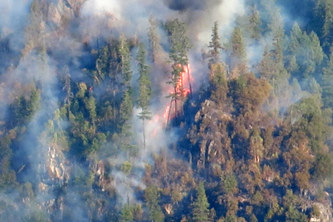 FireSight: Transformers for Wildfire Classification