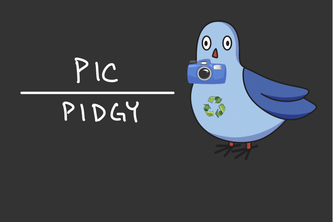 PicPidgy