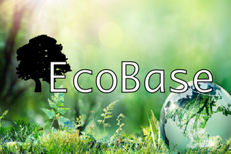 EcoBased