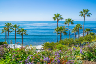 California Beach Luv