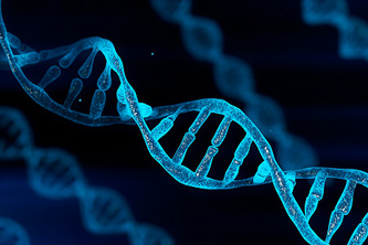 DNA Storage Website