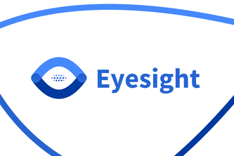 Eyesight